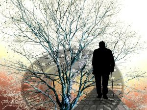 elder law