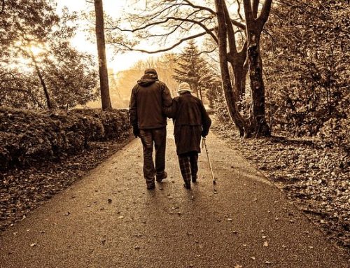 Tampa Elder Law Attorney | What Can a Tampa Elder Law Attorney Do For Me?