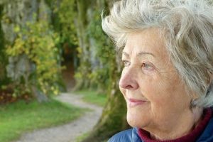 elder law attorney