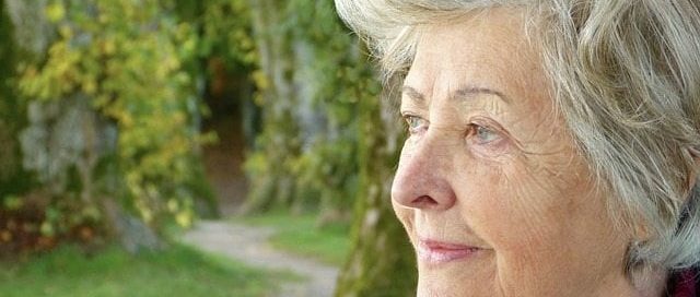 elder law attorney