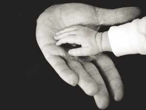 estate planning