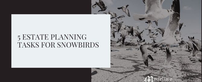 estate planning tampa fl