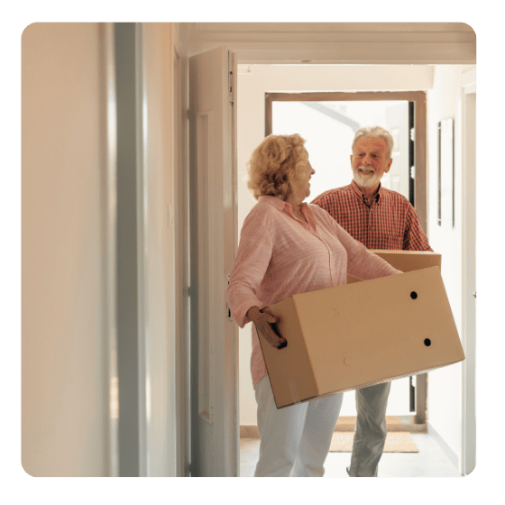 Asset Protection
